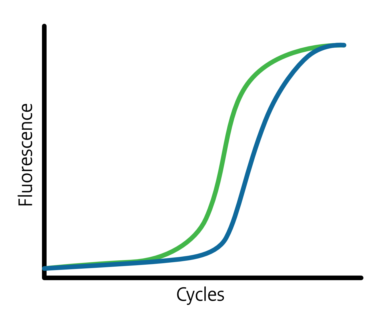Basic real-time PCR amplification curves