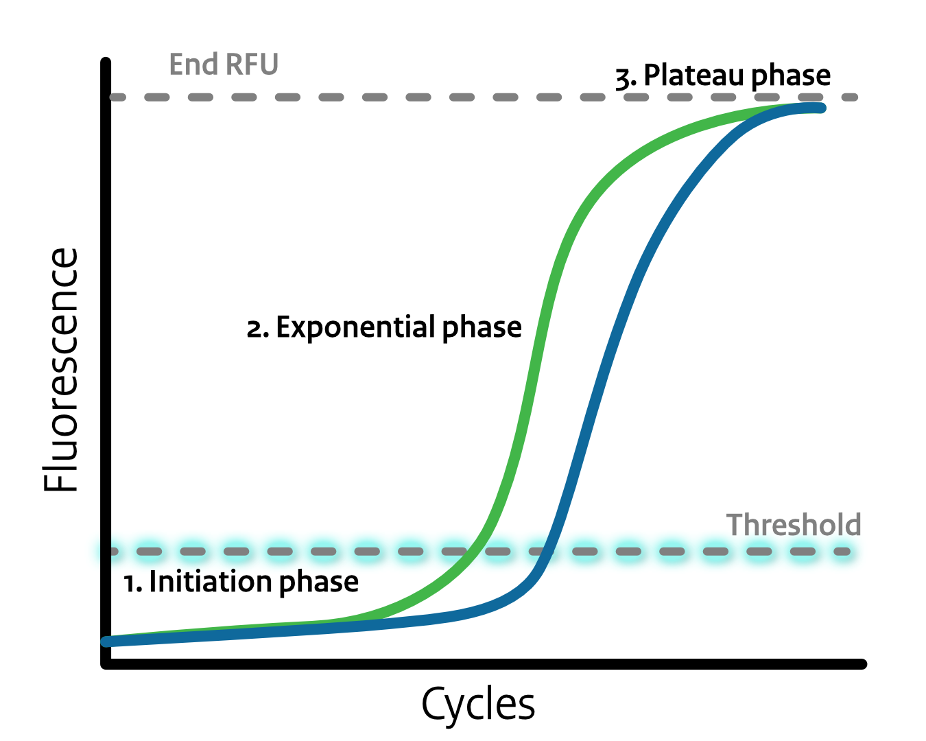 Threshold line in real-time PCR