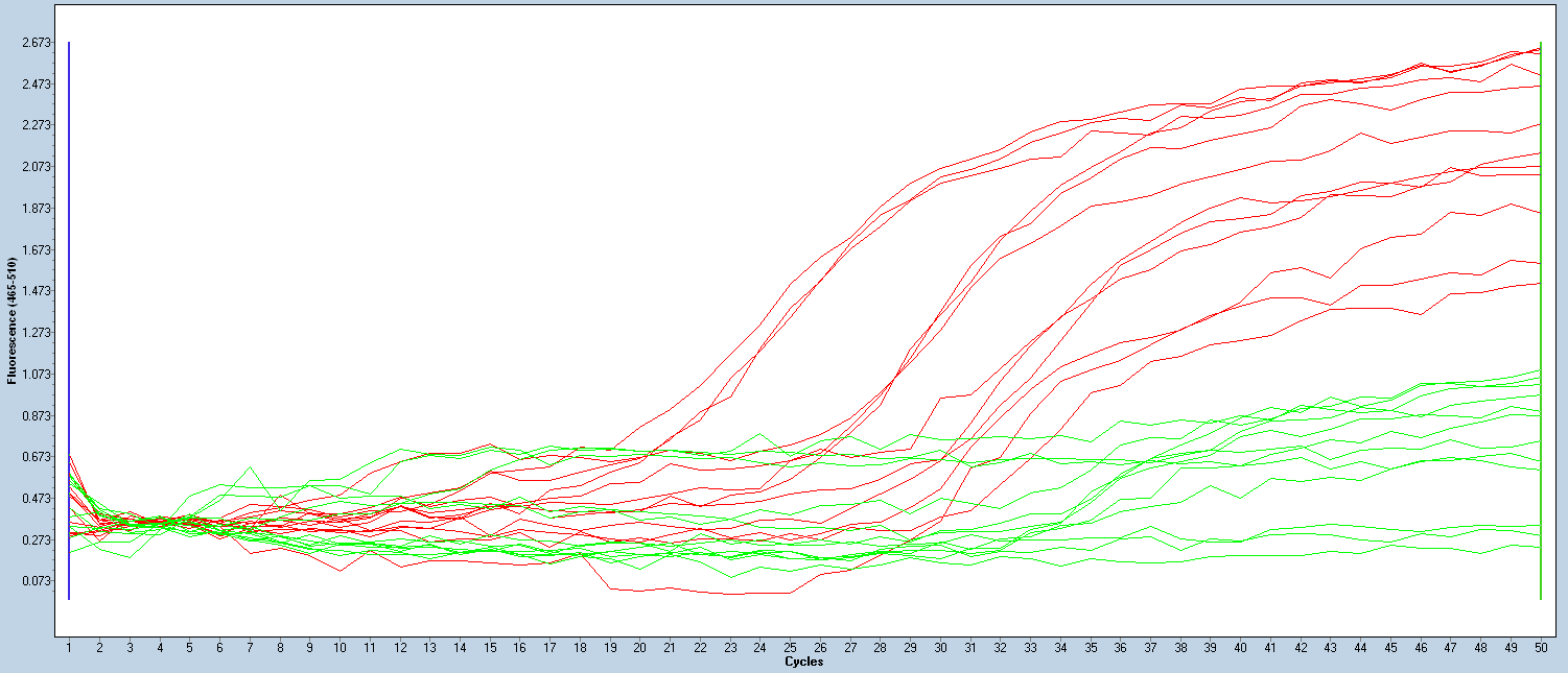 Flavi PCR amplification curves