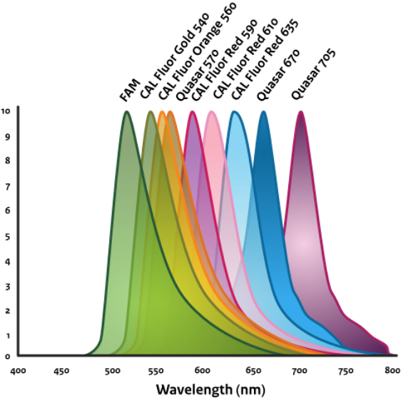 Multiplex PCR setup showing different fluorescent dyes for multiple targets