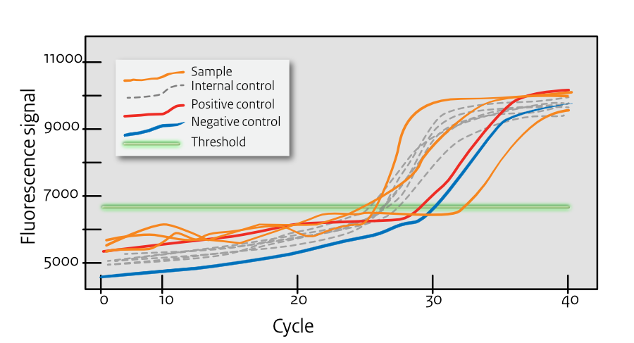 PCR Contamination Curves
