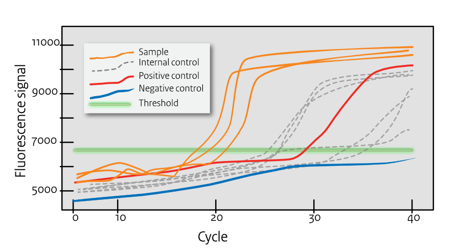High Template Concentration Curves