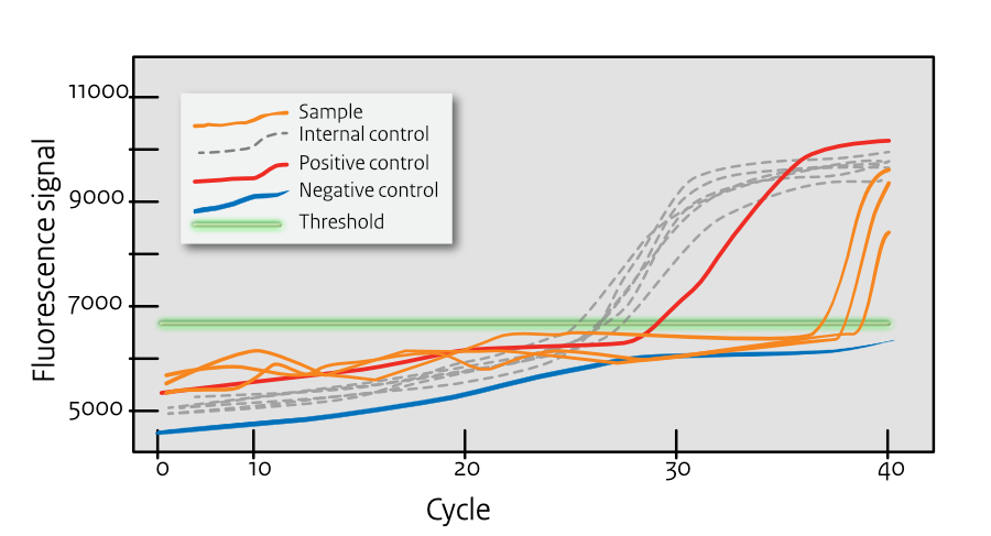 Low Template Concentration Curves