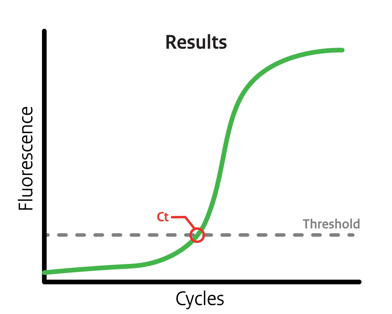 Results showing amplification curve and Ct value